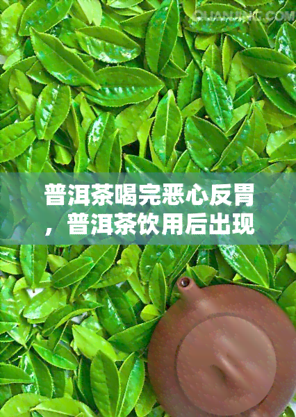 普洱茶喝完恶心反胃，普洱茶饮用后出现恶心反胃现象的原因解析与解决方法