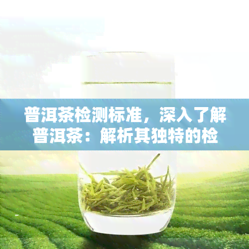 普洱茶检测标准，深入了解普洱茶：解析其独特的检测标准