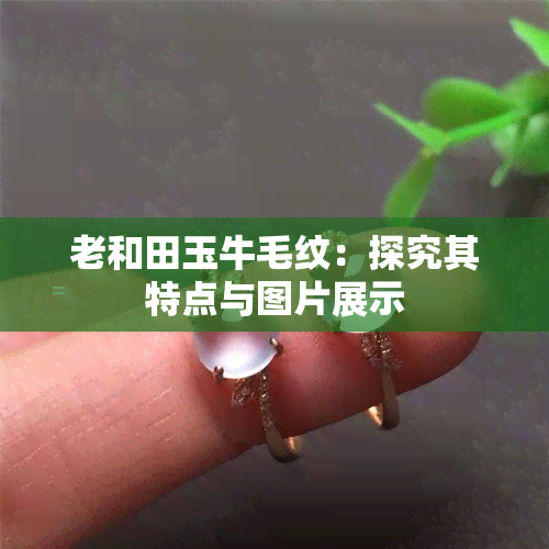 老和田玉牛毛纹：探究其特点与图片展示