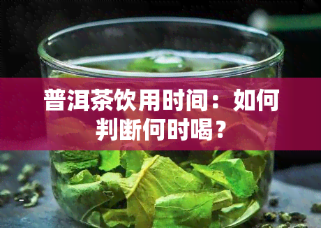 普洱茶饮用时间：如何判断何时喝？