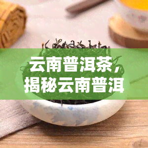 云南普洱茶，揭秘云南普洱茶：一场茶叶行业的风波