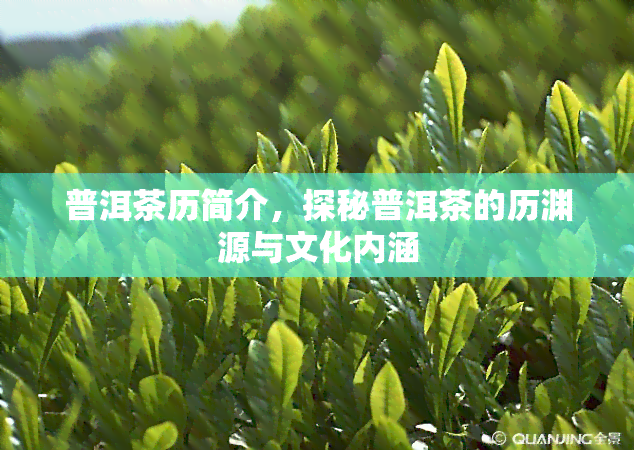 普洱茶历简介，探秘普洱茶的历渊源与文化内涵