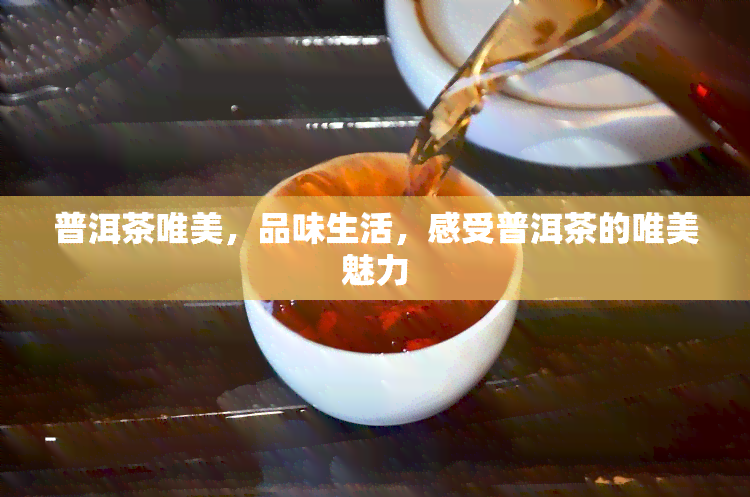 普洱茶唯美，品味生活，感受普洱茶的唯美魅力