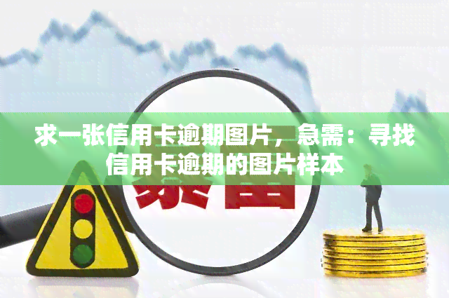 求一张信用卡逾期图片，急需：寻找信用卡逾期的图片样本