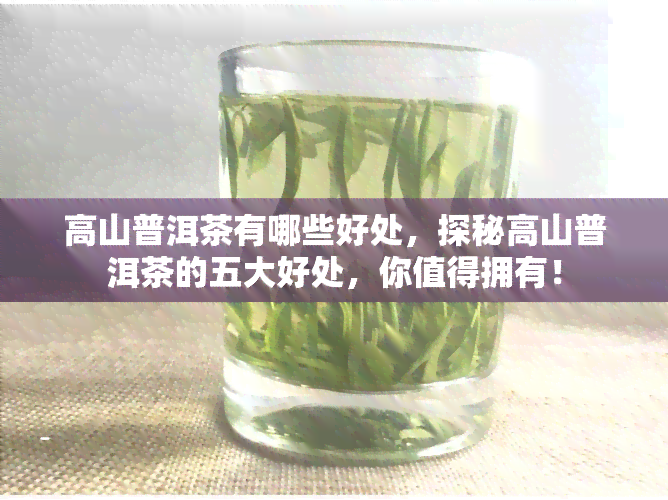 高山普洱茶有哪些好处，探秘高山普洱茶的五大好处，你值得拥有！