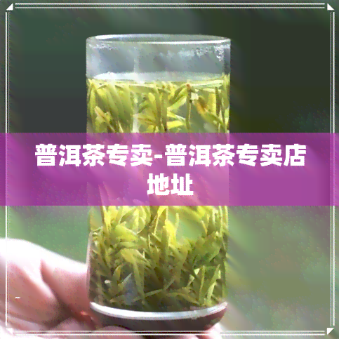 普洱茶专卖-普洱茶专卖店地址