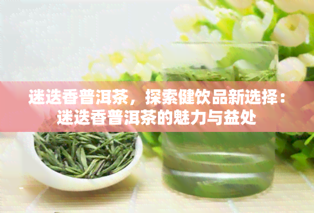 迷迭香普洱茶，探索健饮品新选择：迷迭香普洱茶的魅力与益处