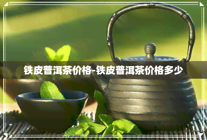 铁皮普洱茶价格-铁皮普洱茶价格多少