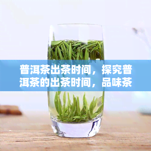 普洱茶出茶时间，探究普洱茶的出茶时间，品味茶香与口感的完美结合