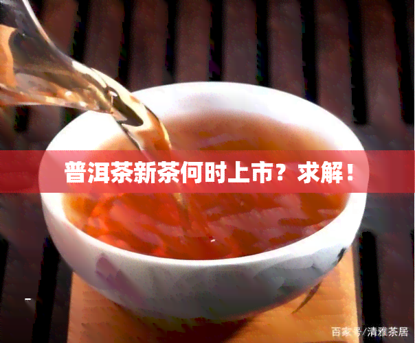 普洱茶新茶何时上市？求解！