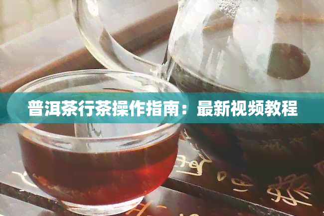 普洱茶行茶操作指南：最新视频教程