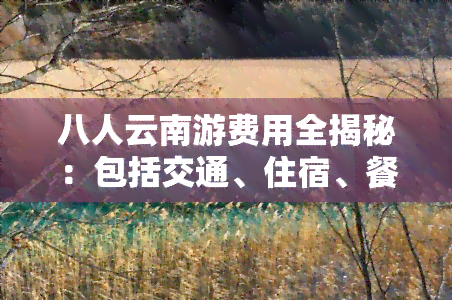 八人云南游费用全揭秘：包括交通、住宿、餐饮等各项开支，一份详尽的预算分析