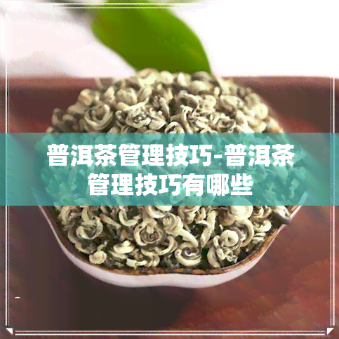 普洱茶管理技巧-普洱茶管理技巧有哪些