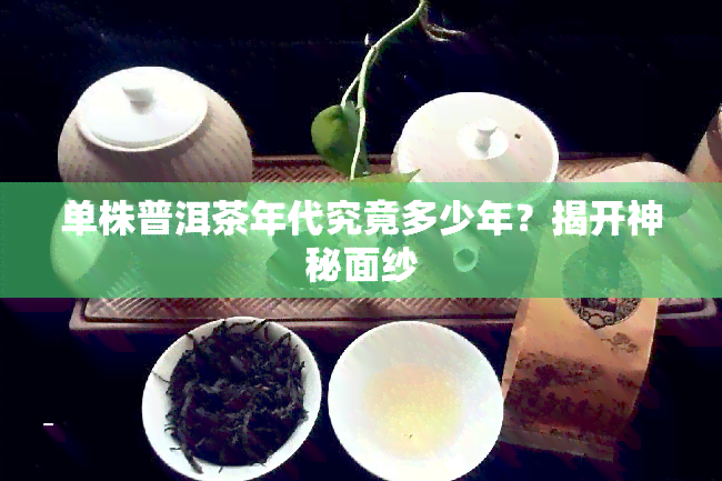 单株普洱茶年代究竟多少年？揭开神秘面纱