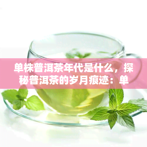 单株普洱茶年代是什么，探秘普洱茶的岁月痕迹：单株普洱茶的年代解析