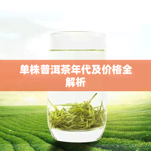 单株普洱茶年代及价格全解析