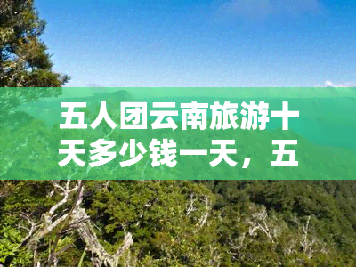 五人团云南旅游十天多少钱一天，五人团云南旅游十天费用全揭秘！平均每天只需多少？