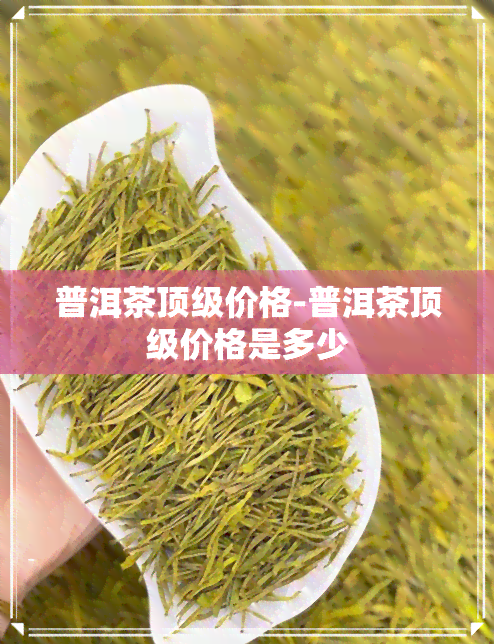 普洱茶顶级价格-普洱茶顶级价格是多少