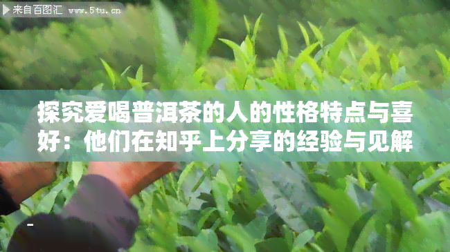 探究爱喝普洱茶的人的性格特点与喜好：他们在知乎上分享的经验与见解