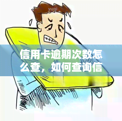 信用卡逾期次数怎么查，如何查询信用卡逾期次数？