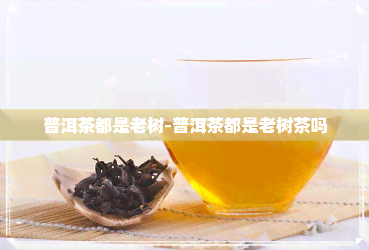 普洱茶都是老树-普洱茶都是老树茶吗