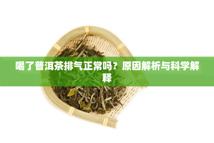 喝了普洱茶排气正常吗？原因解析与科学解释