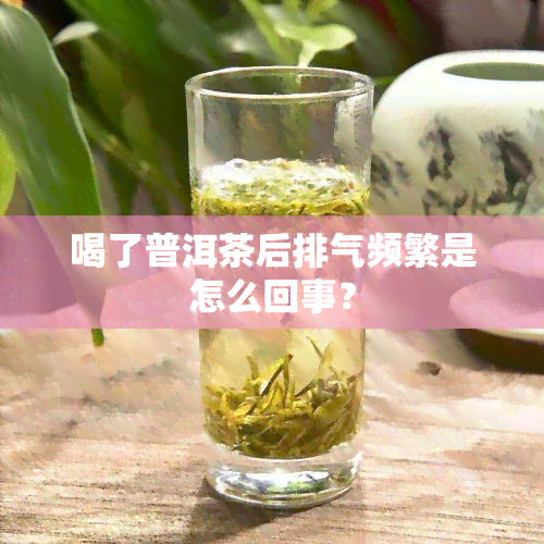 喝了普洱茶后排气频繁是怎么回事？