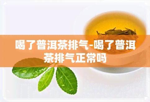 喝了普洱茶排气-喝了普洱茶排气正常吗