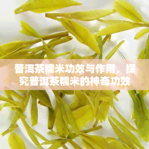 普洱茶糯米功效与作用，探究普洱茶糯米的神奇功效与作用