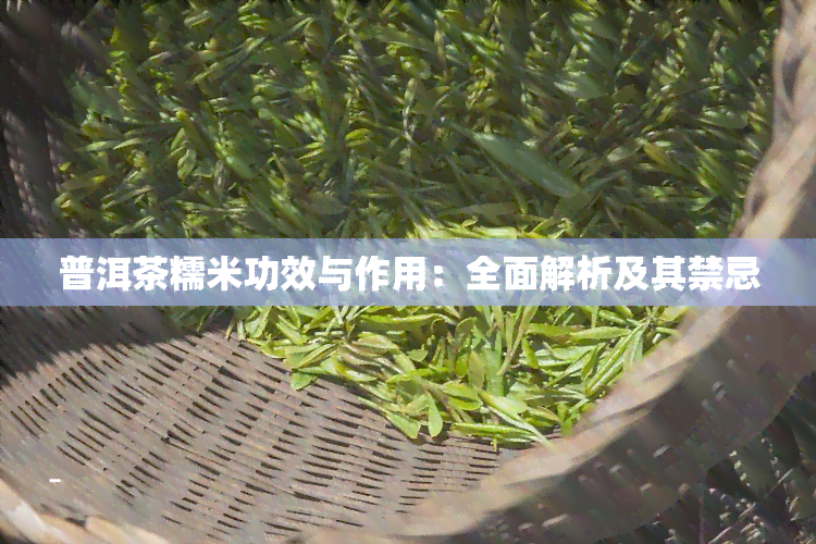 普洱茶糯米功效与作用：全面解析及其禁忌