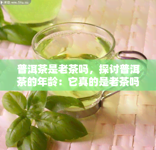 普洱茶是老茶吗，探讨普洱茶的年龄：它真的是老茶吗？