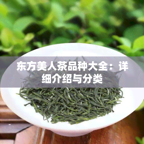 东方美人茶品种大全：详细介绍与分类