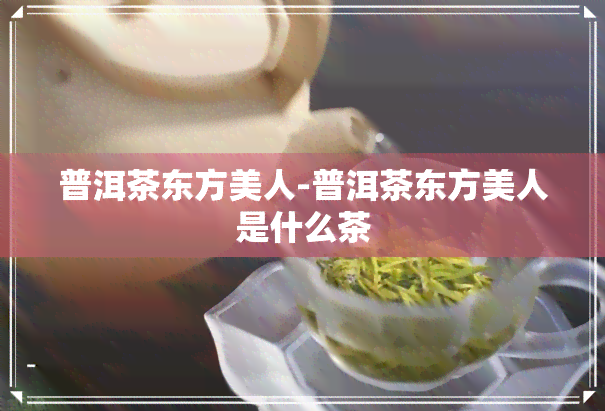 普洱茶东方美人-普洱茶东方美人是什么茶