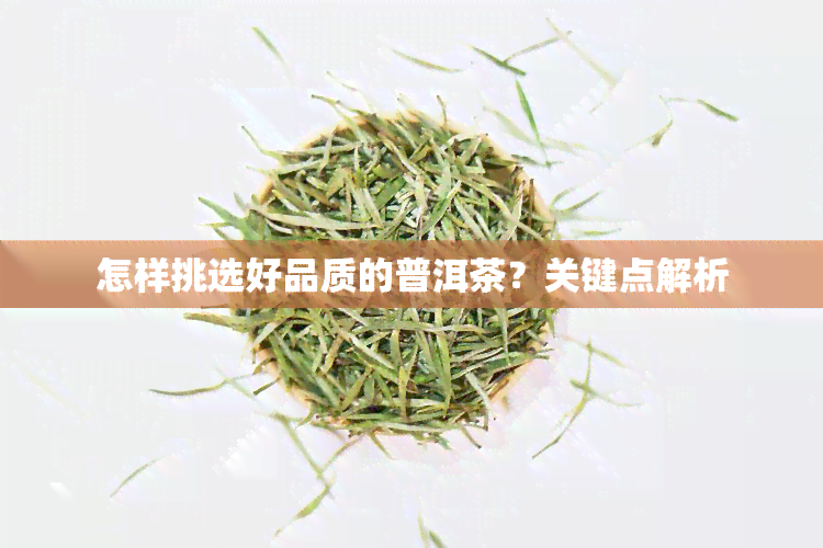 怎样挑选好品质的普洱茶？关键点解析