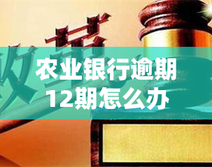 农业银行逾期12期怎么办，如何处理农业银行逾期12期的贷款问题？