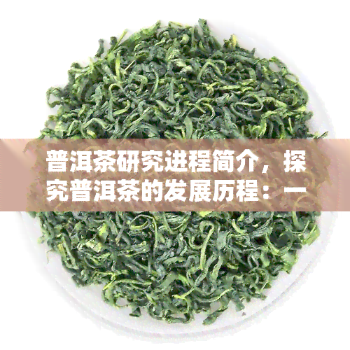 普洱茶研究进程简介，探究普洱茶的发展历程：一深入的研究进程简介