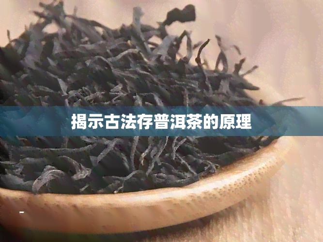 揭示古法存普洱茶的原理