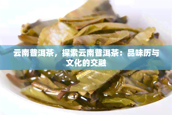 云南普洱茶，探索云南普洱茶：品味历与文化的交融