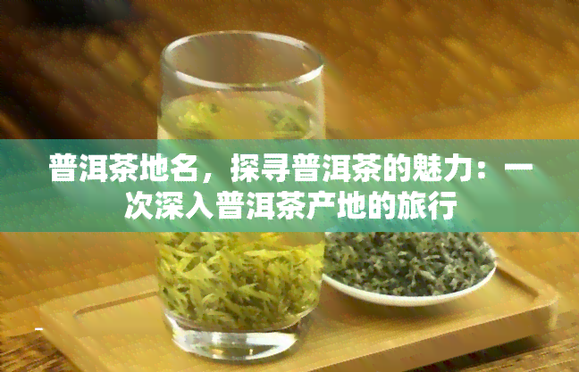 普洱茶地名，探寻普洱茶的魅力：一次深入普洱茶产地的旅行