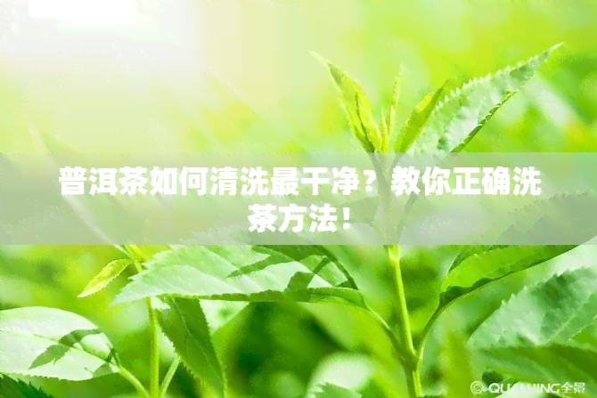 普洱茶如何清洗最干净？教你正确洗茶方法！