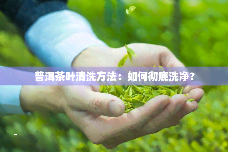 普洱茶叶清洗方法：如何彻底洗净？