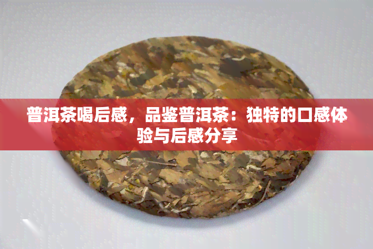 普洱茶喝后感，品鉴普洱茶：独特的口感体验与后感分享