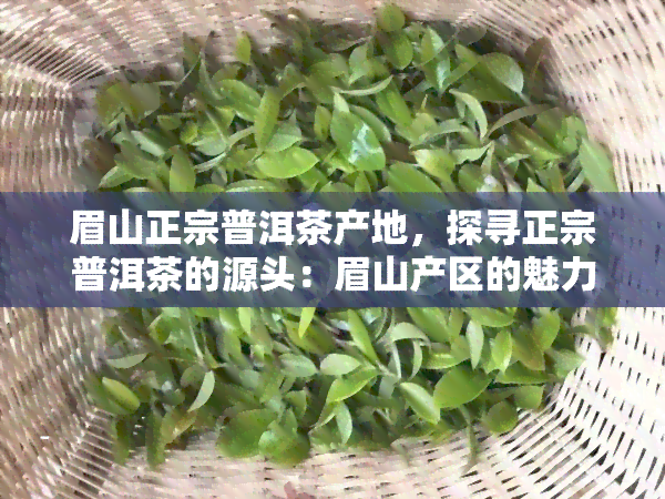 眉山正宗普洱茶产地，探寻正宗普洱茶的源头：眉山产区的魅力与特色