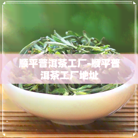 顺平普洱茶工厂-顺平普洱茶工厂地址