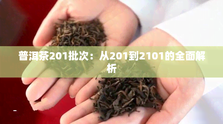 普洱茶201批次：从201到2101的全面解析