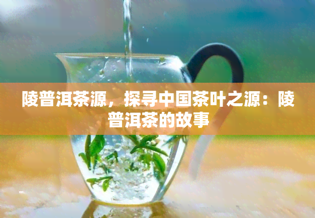 陵普洱茶源，探寻中国茶叶之源：陵普洱茶的故事