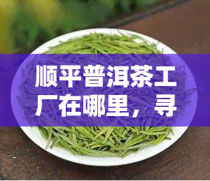 顺平普洱茶工厂在哪里，寻找顺平普洱茶的源头：揭秘顺平普洱茶工厂的位置