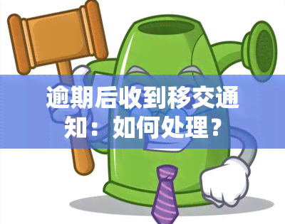 逾期后收到移交通知：如何处理？