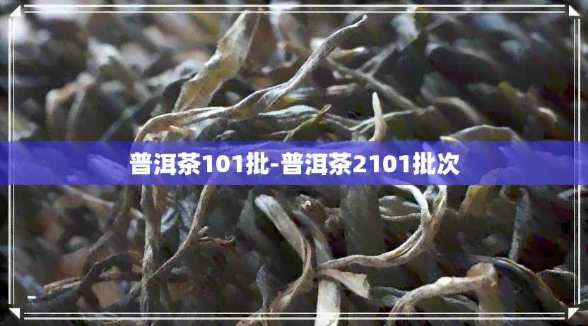 普洱茶101批-普洱茶2101批次