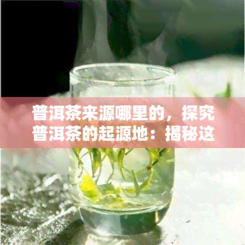 普洱茶来源哪里的，探究普洱茶的起源地：揭秘这种独特茶叶的来历